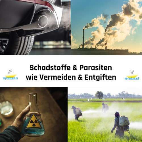 Entgiften und Schadstofffrei leben – Ein umfassendes Programm zur Entgiftung des Körpers und zum Leben ohne Schadstof